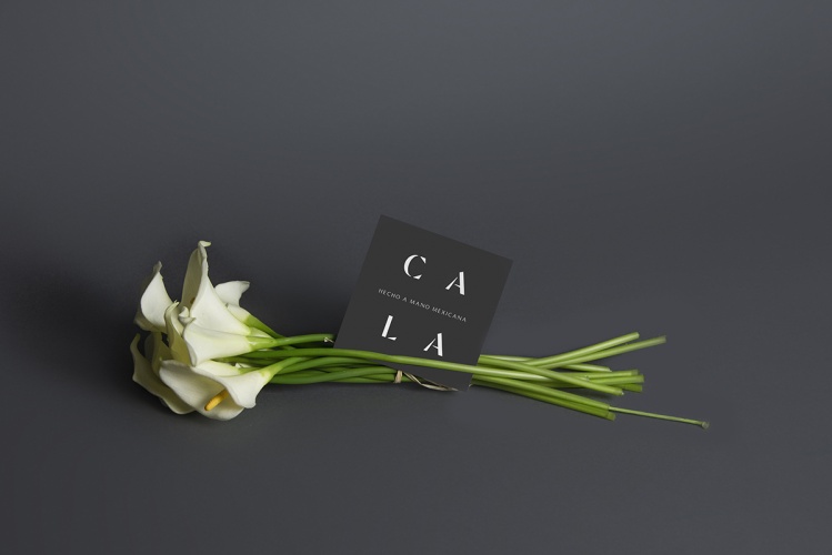 Cala家居用品公司vi設計，logo字體設計