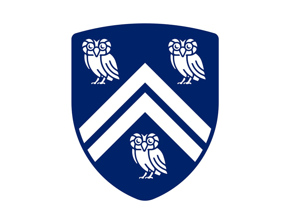 萊斯大學(xué)vi設(shè)計,品牌形象改造,logo設(shè)計